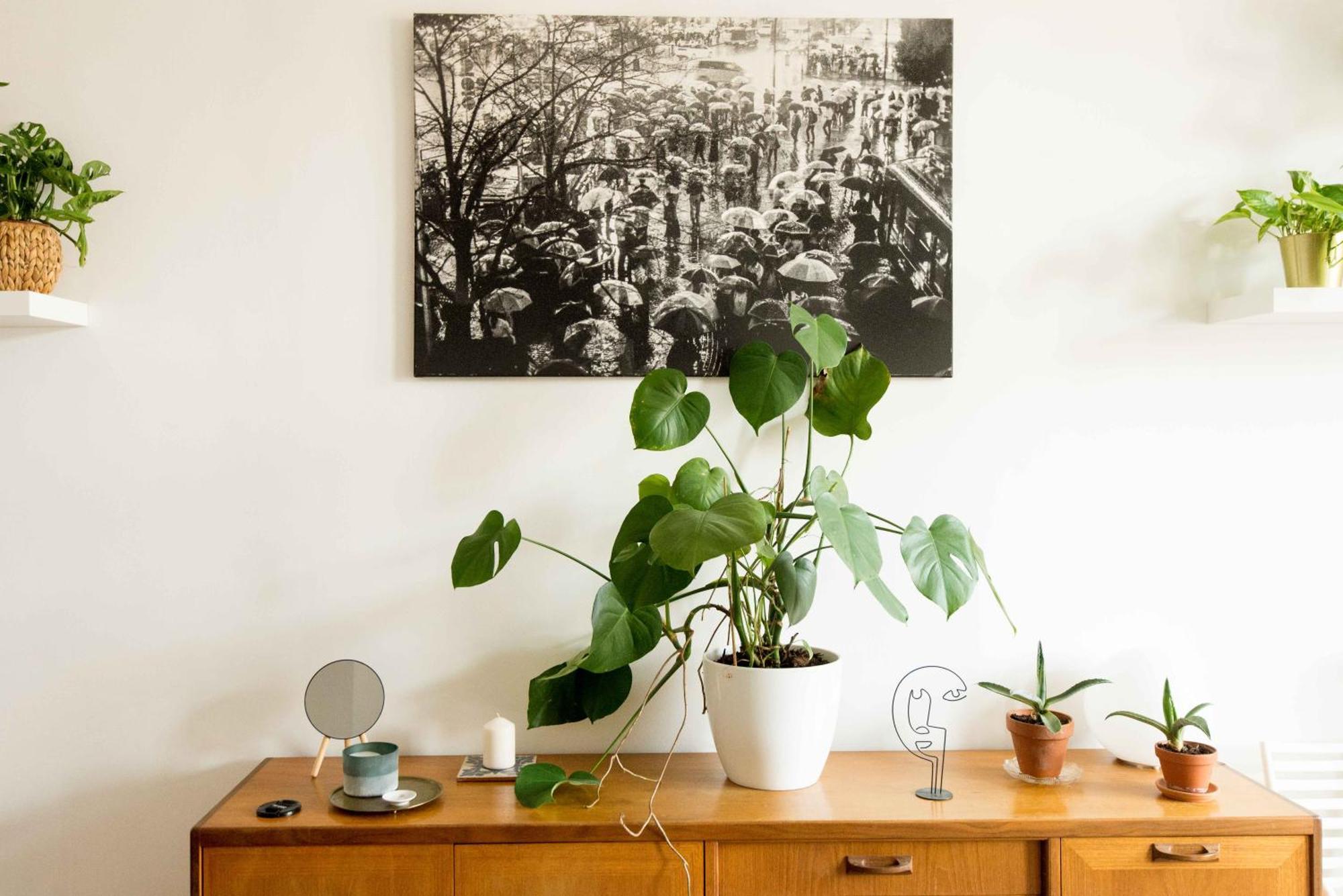 Dohany Design Apartments Budapest Camera foto